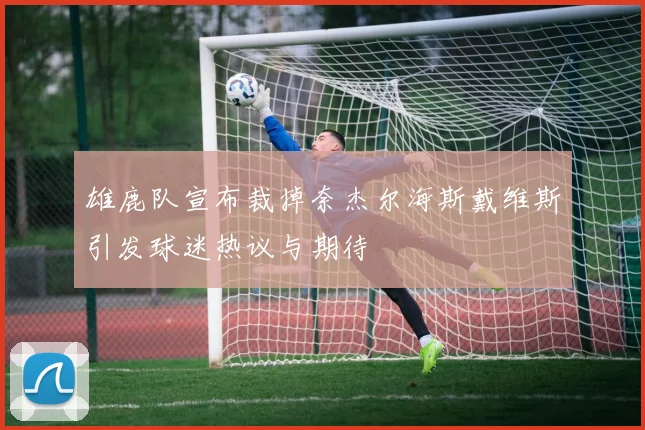 雄鹿队宣布裁掉奈杰尔海斯戴维斯引发球迷热议与期待