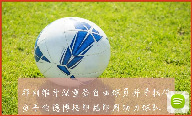 邓利维计划重签自由球员并寻找得分手伦德博格即插即用助力球队